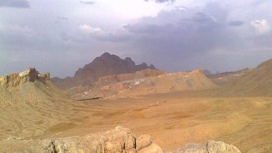 دوره آموزشی راهنمایان طبیعت گردی (اکوتورلیدر)